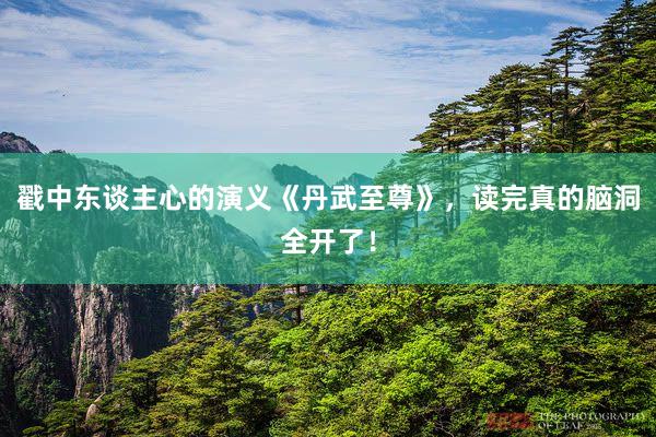 戳中东谈主心的演义《丹武至尊》，读完真的脑洞全开了！
