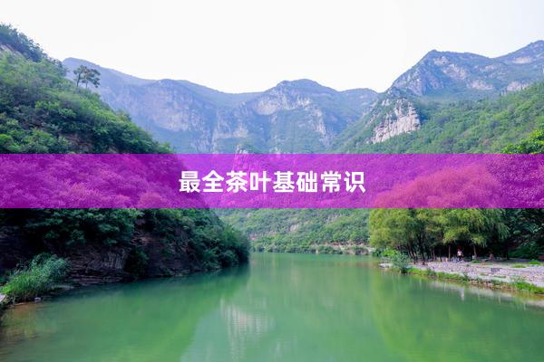 最全茶叶基础常识