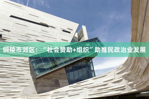 铜陵市郊区：“社会赞助+组织”助推民政治业发展