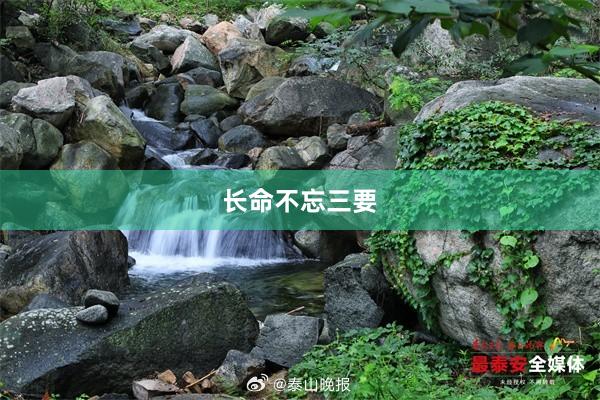 长命不忘三要