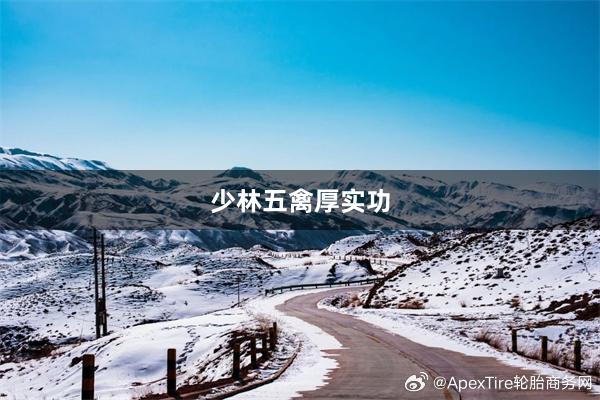 少林五禽厚实功