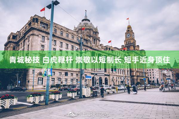 青城秘技 白虎鞭杆 崇敬以短制长 短手近身顶住