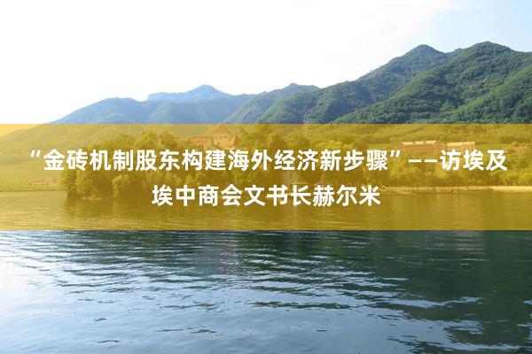 “金砖机制股东构建海外经济新步骤”——访埃及埃中商会文书长赫尔米