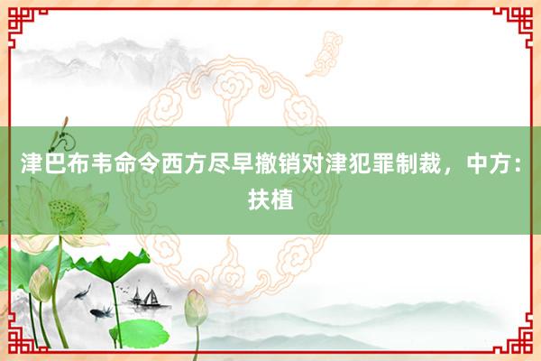 津巴布韦命令西方尽早撤销对津犯罪制裁，中方：扶植