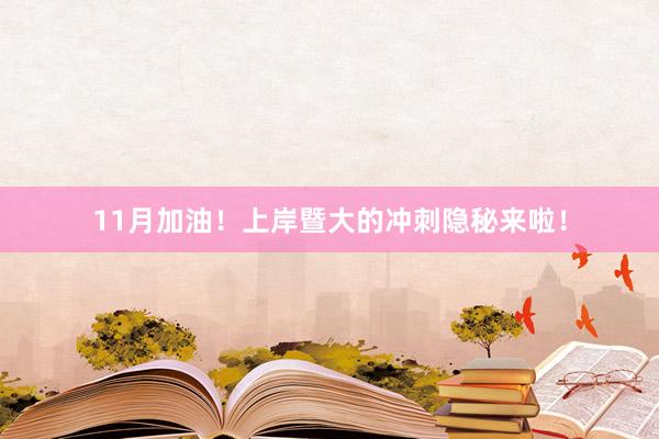 11月加油！上岸暨大的冲刺隐秘来啦！
