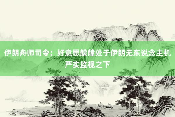 伊朗舟师司令：好意思艨艟处于伊朗无东说念主机严实监视之下