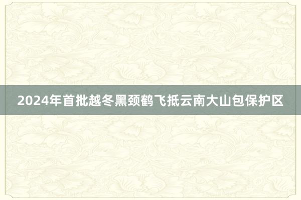 2024年首批越冬黑颈鹤飞抵云南大山包保护区