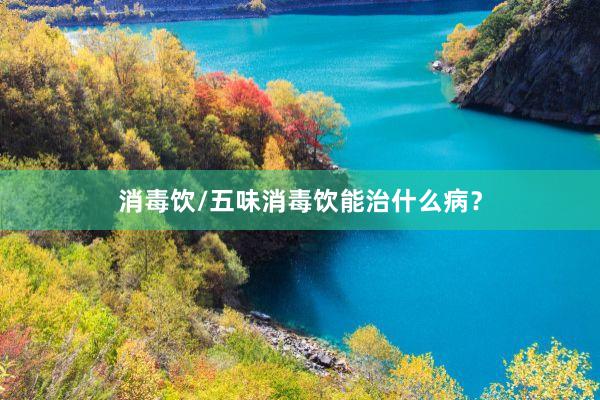 消毒饮/五味消毒饮能治什么病？