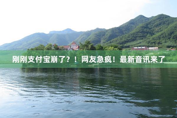 刚刚支付宝崩了？！网友急疯！最新音讯来了