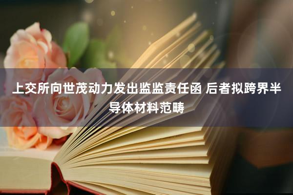 上交所向世茂动力发出监监责任函 后者拟跨界半导体材料范畴
