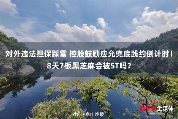 对外违法担保踩雷 控股鼓励应允兜底践约倒计时！8天7板黑芝麻会被ST吗？