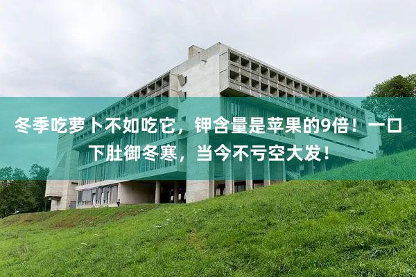 冬季吃萝卜不如吃它，钾含量是苹果的9倍！一口下肚御冬寒，当今不亏空大发！