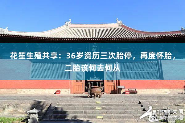 花笙生殖共享：36岁资历三次胎停，再度怀胎，二胎该何去何从