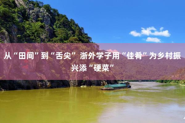 从“田间”到“舌尖” 浙外学子用“佳肴”为乡村振兴添“硬菜”