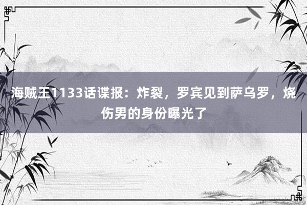 海贼王1133话谍报：炸裂，罗宾见到萨乌罗，烧伤男的身份曝光了