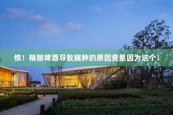 惊！精酿啤酒导致臃肿的原因竟是因为这个！
