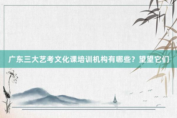 广东三大艺考文化课培训机构有哪些？望望它们
