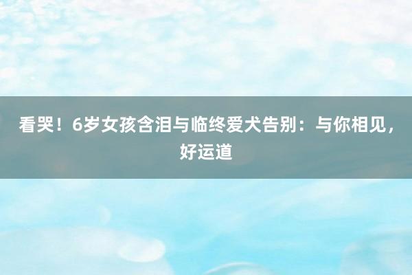 看哭！6岁女孩含泪与临终爱犬告别：与你相见，好运道