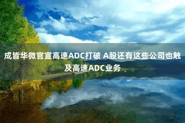 成皆华微官宣高速ADC打破 A股还有这些公司也触及高速ADC业务